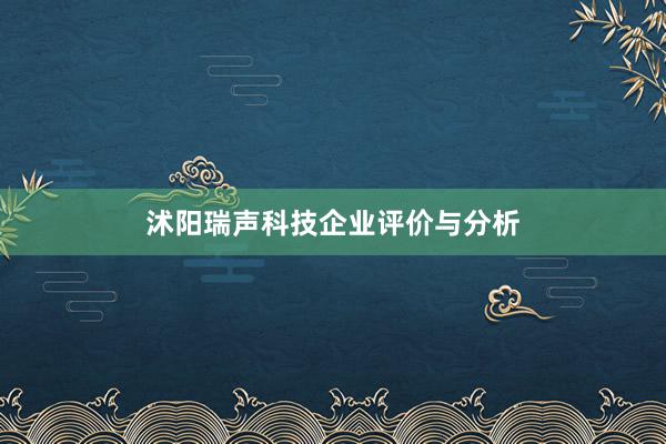 沭阳瑞声科技企业评价与分析